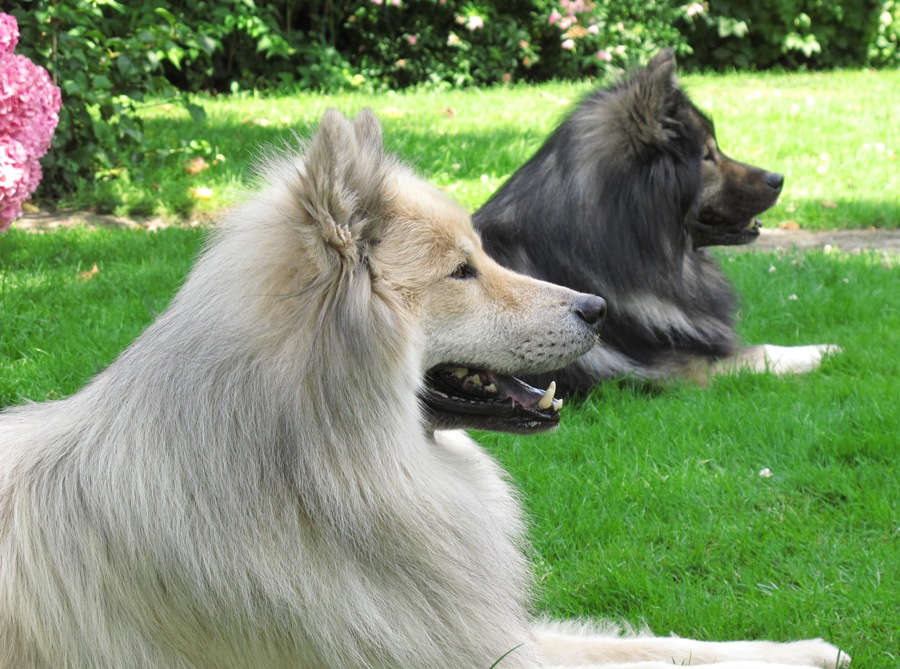 Finn und Erik